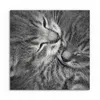 DEQORI Hybrid Leinwand Bild 50x50 cm 'Sanfte Träume' Produktbild-Vorschau 2