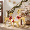 LEADZM 3-teiliges Weihnachtsbeleuchtung Rentier Goldenes, Produktbild-Vorschau 2