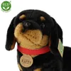 Bassotto Peluche Con Collare 36 Cm Ecologico Anteprima dell’immagine prodotto 11