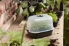 elho® Green Basics Anzucht-Deckel M Transparent 36 x 26 cm Produktbild-Vorschau 7