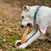 4DOGS Zimtbaum-Kauartikel, Größe L Produktbild-Vorschau 8