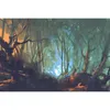 Coloray Fototapete 208x146 cm Latextapete Magicstick - Wald Produktbild-Vorschau 2