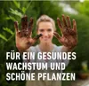 Anzucht- und Kräuter Erde COMPO  torffrei 20 L Produktbild-Vorschau 5