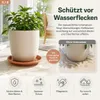 Pflanztopfuntersetzer Mira Terrakotta Ø 68cm - Rund Produktbild-Vorschau 5