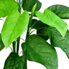 Decovego Künstlicher Aronstab (Araceae Arum Taro), Produktbild-Vorschau 5