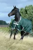 Bucas Outdoordecke 100g Greenline Turnout Weidedecke Green Produktbild-Vorschau 3