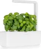 Click and Grow Smart Garden 3 chytrý květináč + 3ks kapslí Náhled obrázku produktu 8