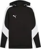 Puma Teamevostripe Kapuzensweat Herren - Schwarz Produktbild-Vorschau 1