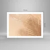 Poster - Poster ohne Rahmen - Sand Schatten Blätter - 70x50 Produktbild-Vorschau 4