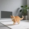 An orange cat walks on a white rug in front of a gray wall with a dark gray rectangular panel attached. A potted plant is visible in the background. Produktbild-Vorschau