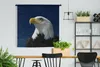 MuchoWow® Wandteppich Wandbehang Ein Weißkopfseeadler Produktbild-Vorschau 2