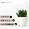 Künstliche Pflanzen Mini 3er Set Dekoration Kunstpflanzen Produktbild-Vorschau 4