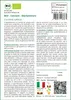 SAFLAX  -- Cetriolo - Marketmore - 20 semi - Cucumis Anteprima dell’immagine prodotto 3