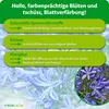 Purgrün Agapanthus Dünger | Flüssigdünger für Blütenpracht Produktbild-Vorschau 3