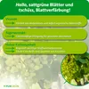 Purgrün -Tafeltrauben-Dünger 1 Liter Produktbild-Vorschau 3