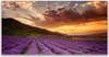 Acrylglasbilder 120x60 Wandbild Druck Gebirge Wiese Blumen Produktbild-Vorschau 1