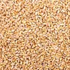 30 kg Pšenice čištěná Krmivo pro kuřata Krmivo pro drůbež Náhled obrázku produktu 4