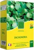 Kikuyu - BHS - 300 g - 25 m² - Klimat śródziemnomorski - Podgląd zdjęcia produktu 1