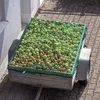 Síť na přívěs 3 x 4 m Náhled obrázku produktu 2