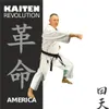 KAITEN Karateanzug America REGULAR - Karate Gi weiß 14 oz Produktbild-Vorschau 2