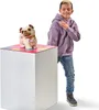 A boy stands next to a toy pug on a pedestal. Voir les images du produit