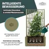 XL Gartenspalier 'Ethica' mit Pflanzkübel Breit 80x36x140 Produktbild-Vorschau 5