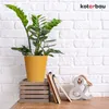 KOTARBAU® Vaso da fiori color senape Vetroceramica smaltata Anteprima dell’immagine prodotto 2