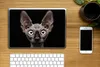 MuchoWow® Laptop Aufkleber Sticker Cover Katze - Haustiere Produktbild-Vorschau 2