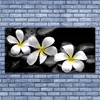 Glasbilder 140x70 Wandbild Druck auf Glas Blumen Steine Produktbild-Vorschau 2