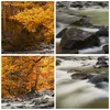 Bild auf Leinwand - Leinwandbild - Stream Herbst Forrest Produktbild-Vorschau 8