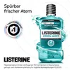 LISTERINE® 5783103001 LISTERINE® COOL MINT ANTI-BAKTERIELL Vista previa de la imagen del producto 4