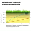 BARENBRUG Samozhutňovací pružný tmel Bluegrass 5 kg ODOLNÝ Náhľad obrázku produktu 5