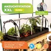 BioGreen Zimmergewächshaus "Jumbo" XXL mit UV-geschütztem Produktbild-Vorschau 2
