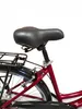 Dallas Bike Fahrrad 28 Zoll - mit Federgabel - Shimano Produktbild-Vorschau 5