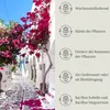 Floravera Premium Oleander Flüssigdünger 2 x 1 Liter Dünger Produktbild-Vorschau 3