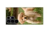 MuchoWow® Handyhülle Schutzhülle Hülle für Samsung Galaxy Produktbild-Vorschau 5