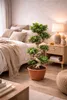 Bonsai Ficus Microcarpa Ginseng (tvar S) – 70–100 cm – Náhled obrázku produktu 4