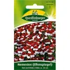 Quedlinburger Saatgut - Nemesia (Specchio dell'elfo) rosso Anteprima dell’immagine prodotto 1