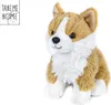 Take Me Home Chien Corgi en peluche 20cm assis 0m+ Voir les images du produit 2