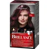 Schwarzkopf Brillance Intensiv Color Creme 860 Ultraviolett Náhled obrázku produktu 1