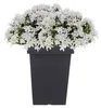 Blumentopf Blumenkübel Kunststoff Lofly Slim Square Produktbild-Vorschau 8