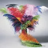Straußenfeder gelb 35–40 cm echte Vogelfeder Kostüm DIY Produktbild-Vorschau 3