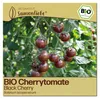 Samenliebe  Tomate Samen | Black Cherry - violett & süß - Produktbild-Vorschau 1