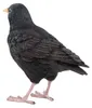 Oiseau décoratif d'extérieur en polyrésine Merle Voir les images du produit 5