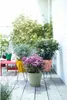 elho® Loft bac à plantes Urban 40 vert pistache avec Voir les images du produit 11