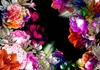 Vlies Fototapete - Warm Tones of Summer 400x280 cm Blumen Produktbild-Vorschau 5