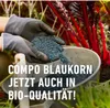 Gartendünger COMPO  Blaudünger 4 kg, Universaldünger Produktbild-Vorschau 5