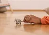 Schleich Wild LIfe Erdferkel 14863 Produktbild-Vorschau 16