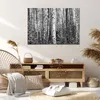 Bild auf Leinwand - Leinwandbild - Einteilig - Birken Wald Produktbild-Vorschau 7