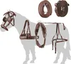 A collection of horse tacking equipment, including a bridle, reins, breast collar, and harness, laid out against a silhouette of a horse. Produktbild-Vorschau